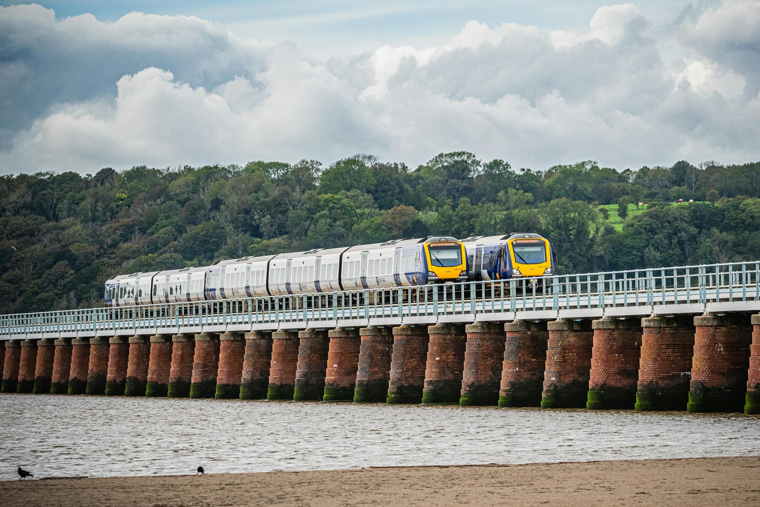 Trains passing
